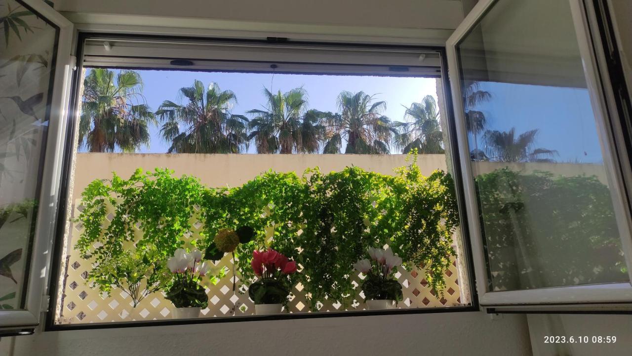 Rosalia Playa San Cristobal Wifi Netflix Lejlighed Almuñécar Eksteriør billede