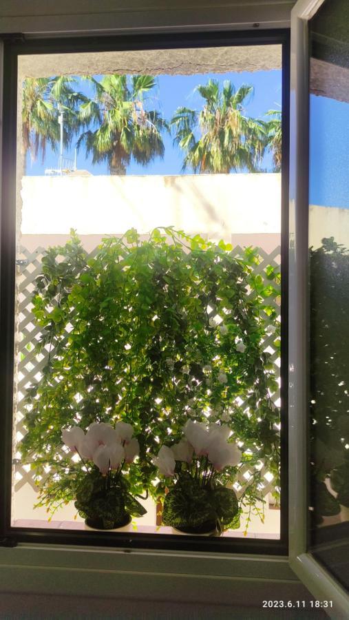 Rosalia Playa San Cristobal Wifi Netflix Lejlighed Almuñécar Eksteriør billede